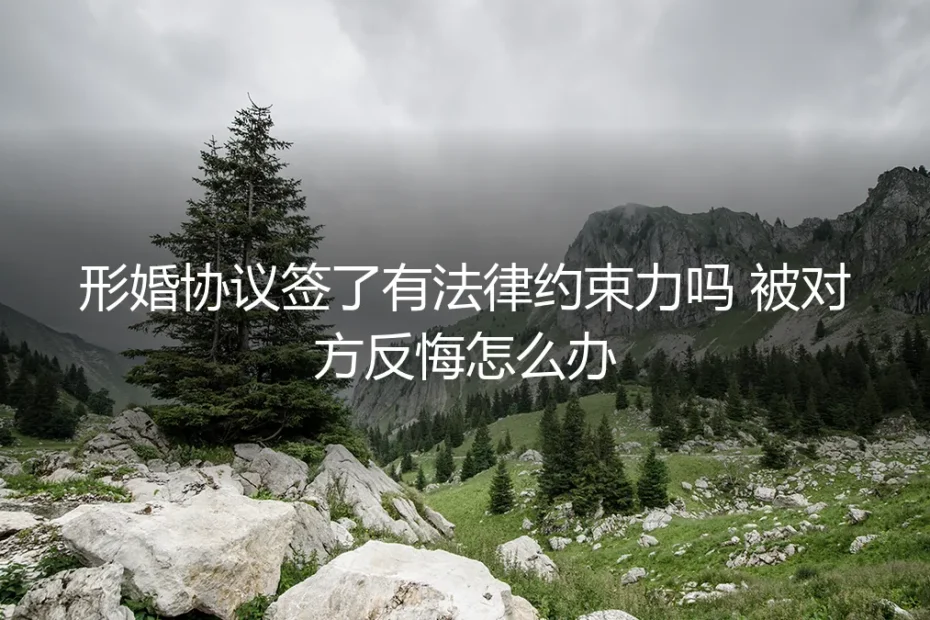 形婚协议签了，就真的保险吗？法律约束力与反悔风险深度解析