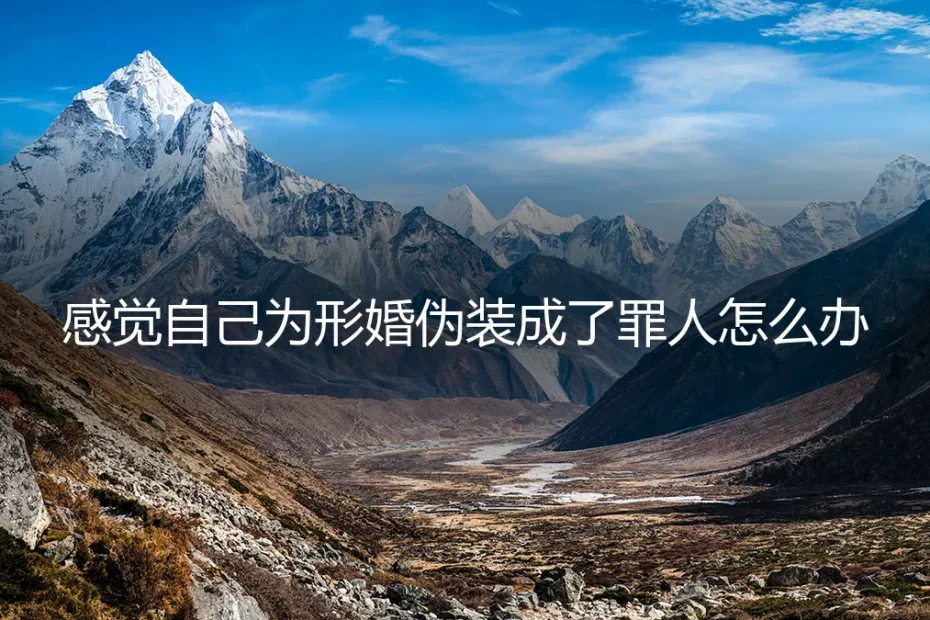 形婚伪装，我成了罪人？——深度剖析形婚中的道德困境与自我和解