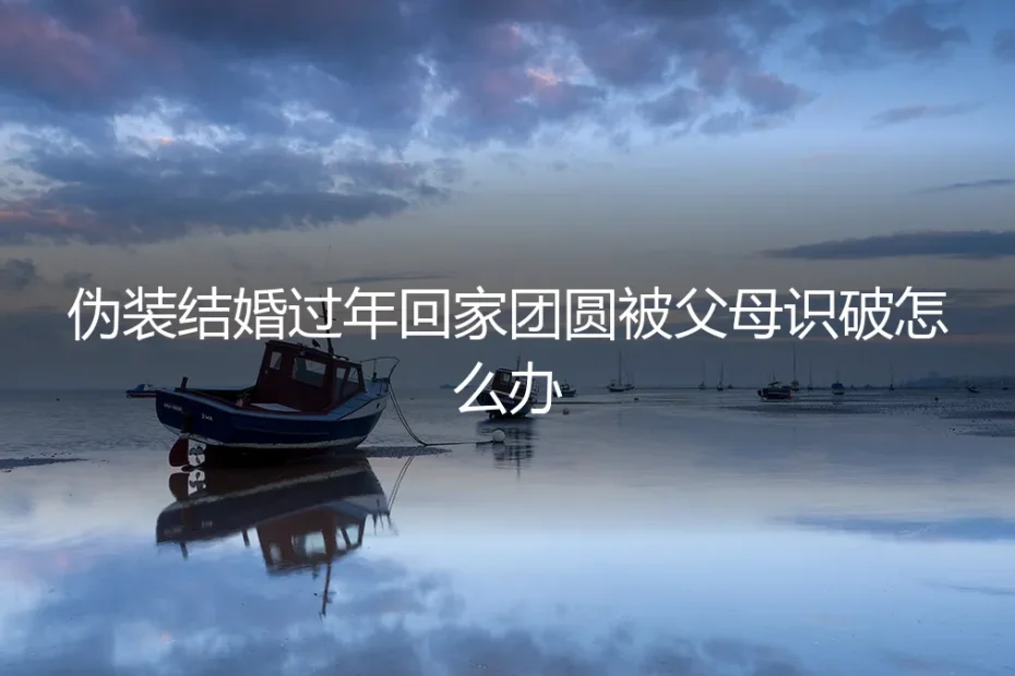 形婚过年回家团圆，被父母识破的危机应对与深度剖析