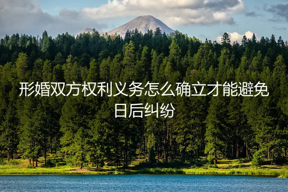 形婚双方权利义务如何确立？一份避免日后纠纷的清醒指南