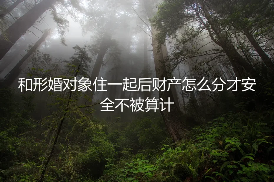 形婚同居财产安全指南:如何划分与守护,避免被算计