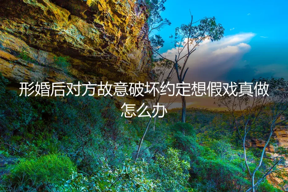 当形婚伙伴越界：一份协议与一场深夜对话