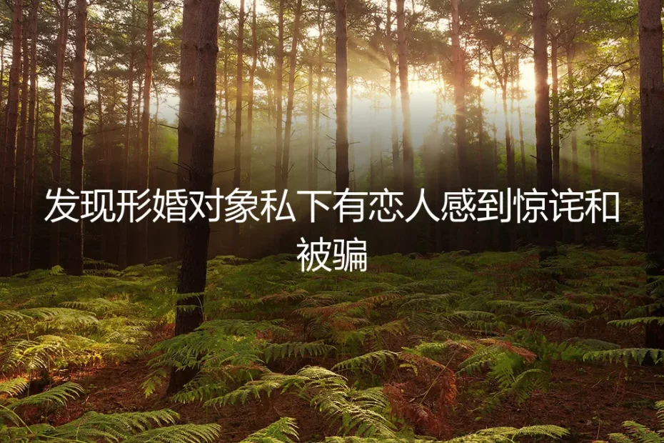 协议之外的心动：当我的形婚伙伴有了秘密恋人