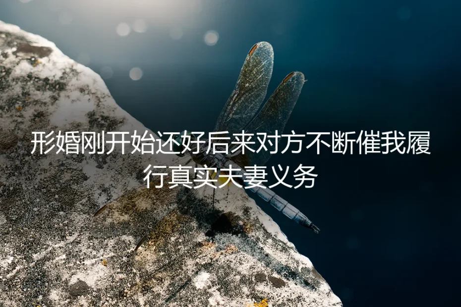 协议之外：当形婚的边界开始模糊