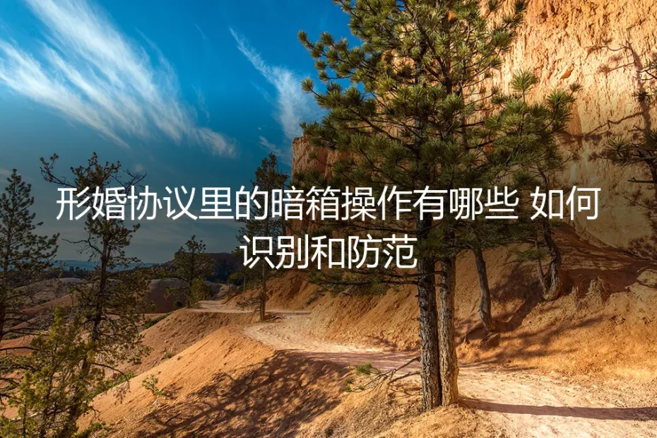 形婚协议里的暗箱操作有哪些?保姆级识别与防范指南