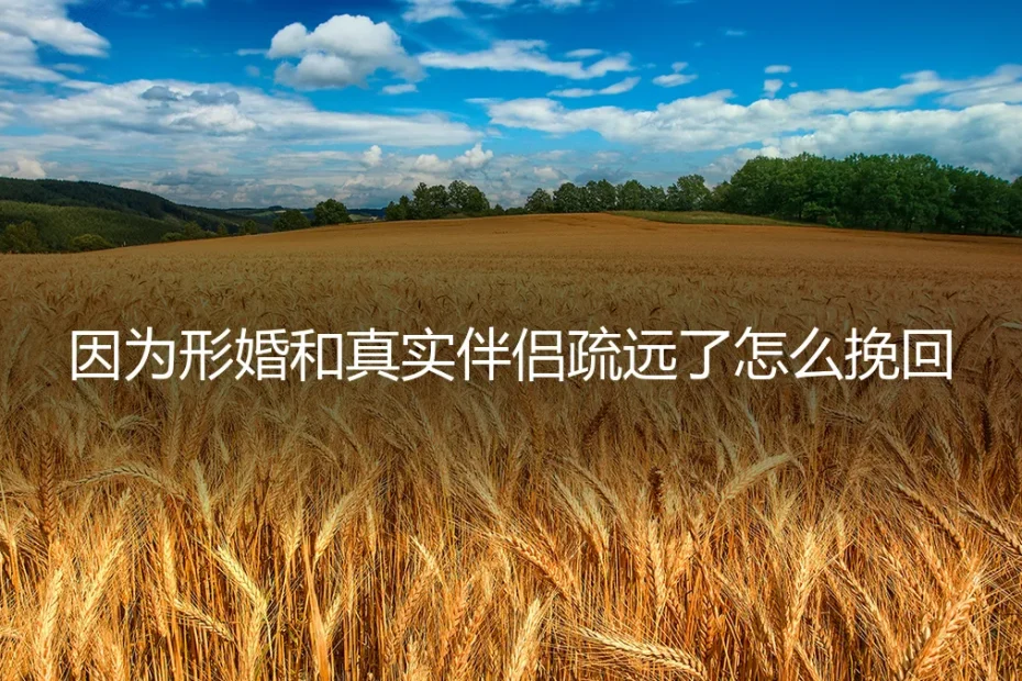 形婚的墙:当协议伴侣成为真实情感的裂痕