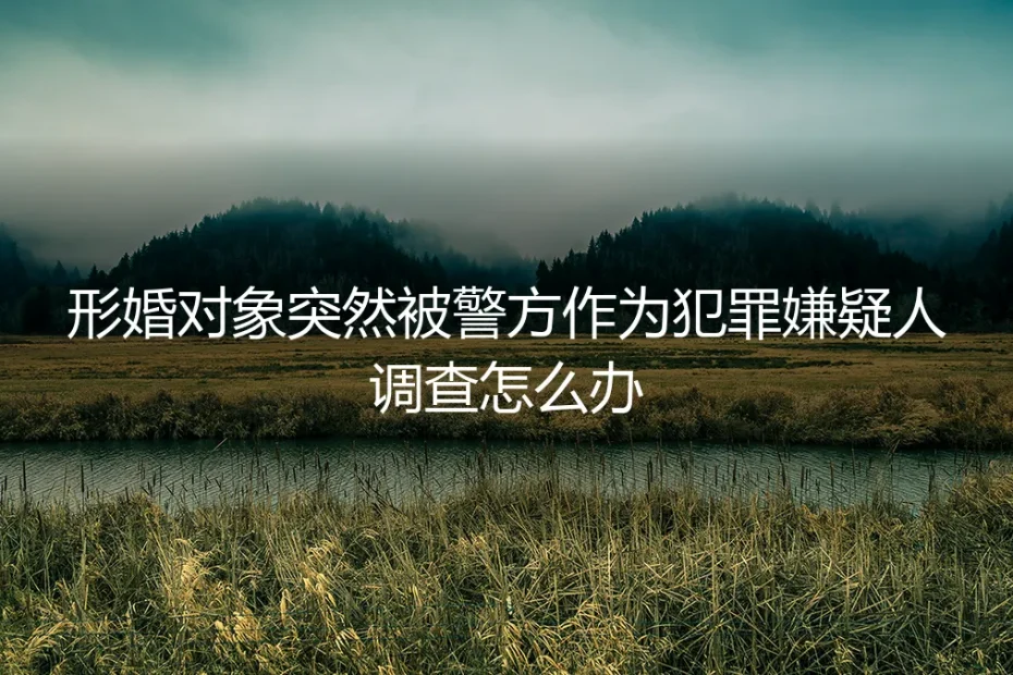形婚对象突遭警方调查，如何守住你的法律与生活边界？