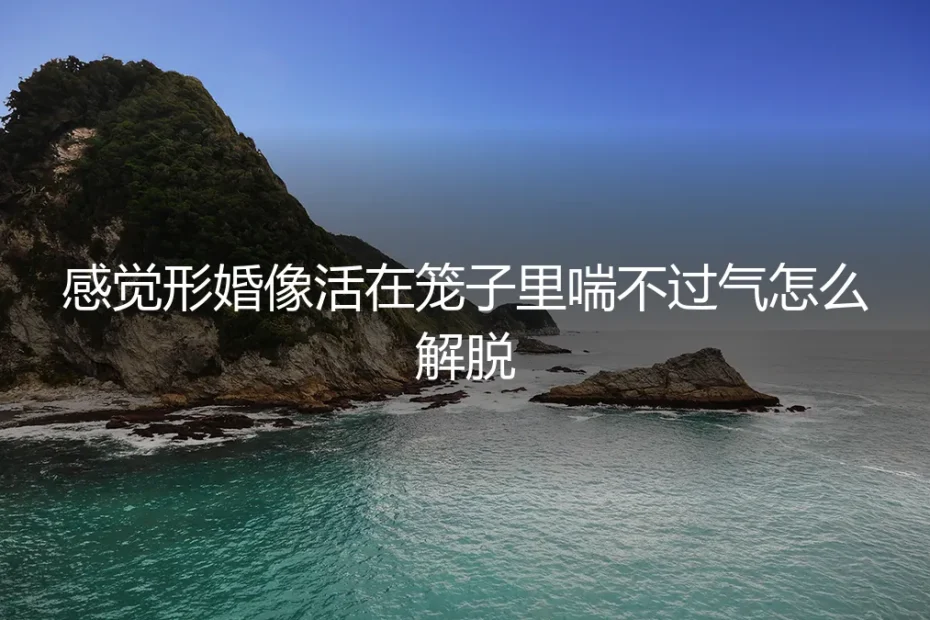 形婚困局：当“合作”变成“牢笼”，如何破局与喘息？
