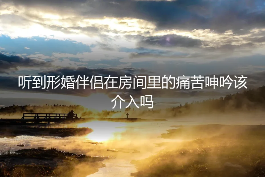 隔墙的呻吟:当形婚伴侣的痛苦穿透协议