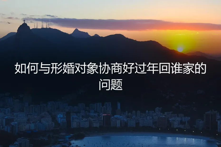 形婚过年回谁家？保姆级协商指南与避坑策略