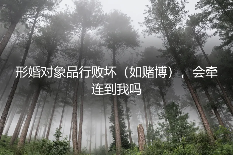 形婚对象品行败坏（如赌博），会牵连到我吗？深度剖析法律与生活风险