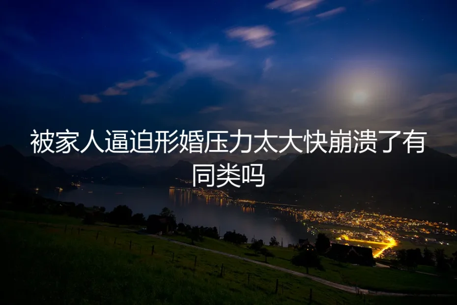 年夜饭上的那道红烧肉,是我形婚的起点