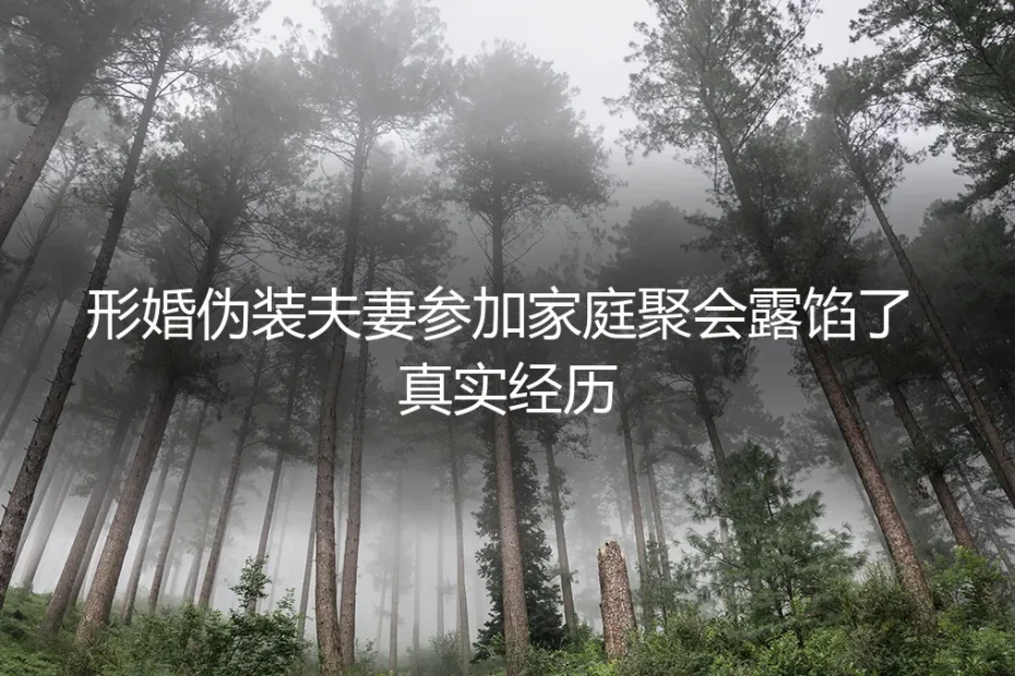 形婚伪装夫妻参加家庭聚会露馅了:一次真实经历背后的风险与反思