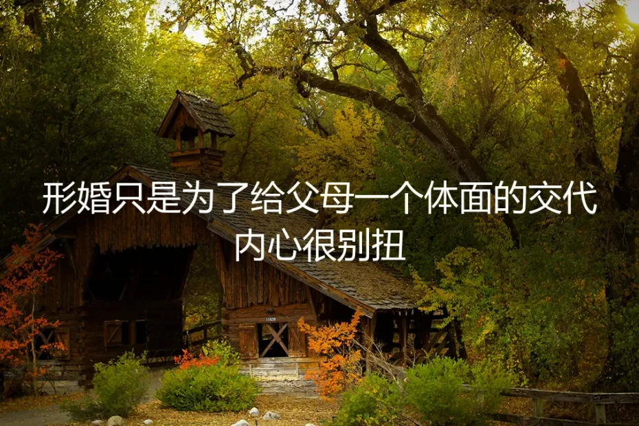 那场只为体面的婚礼,和我的别扭人生