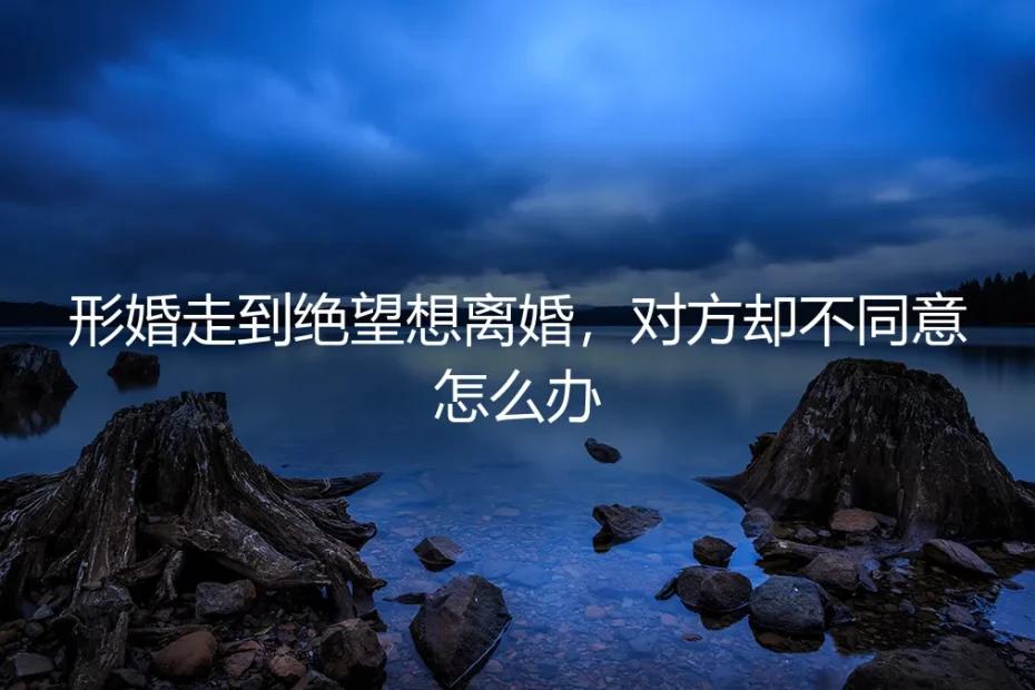 形婚走到绝望想离婚,对方却不同意怎么办?一份清醒的危机处理指南