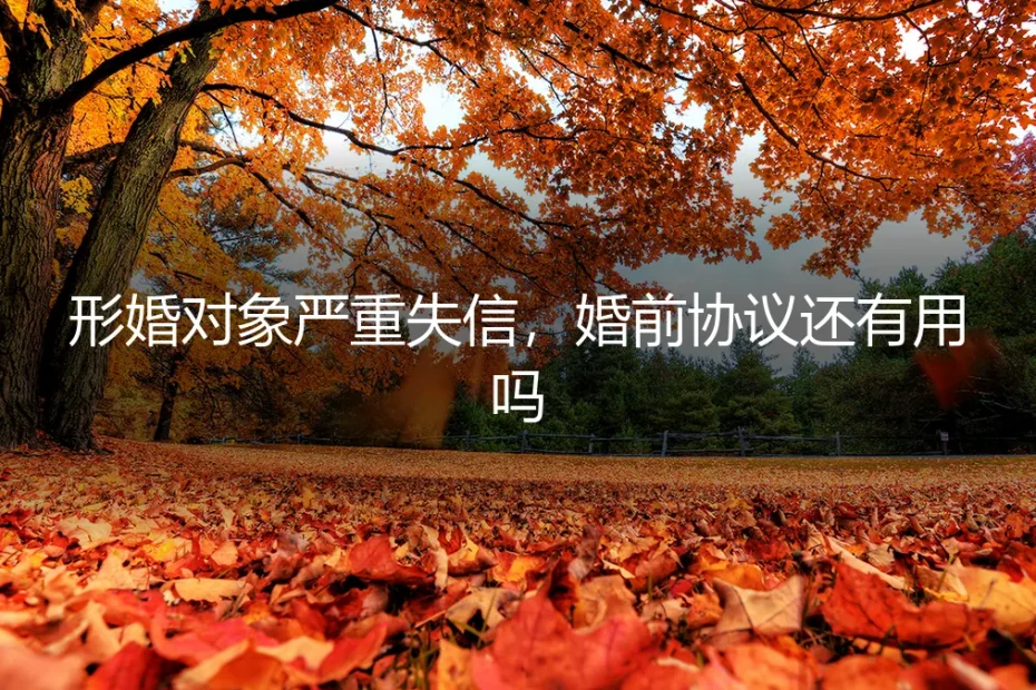 形婚对象严重失信,婚前协议还有用吗?一份契约的效力边界