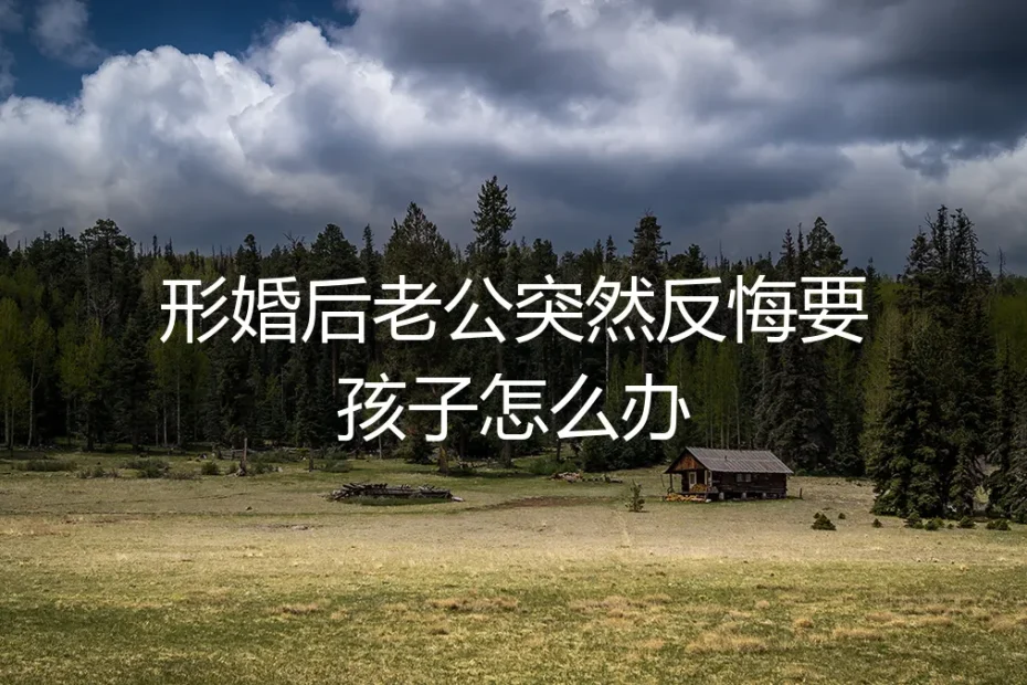 形婚后丈夫突然反悔索要孩子,如何守住协议与边界?
