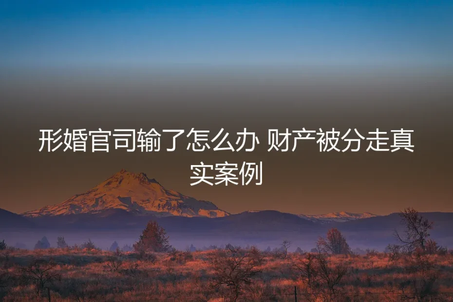 形婚官司输了怎么办?财产被分走的真实案例与深度剖析