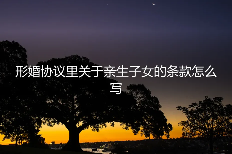 形婚协议中关于亲生子女的条款：保姆级实操避坑指南