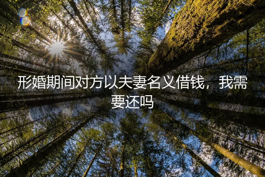 形婚期间,对方以“夫妻名义”借钱,我需要偿还吗?真实案例与法律风险深度剖析