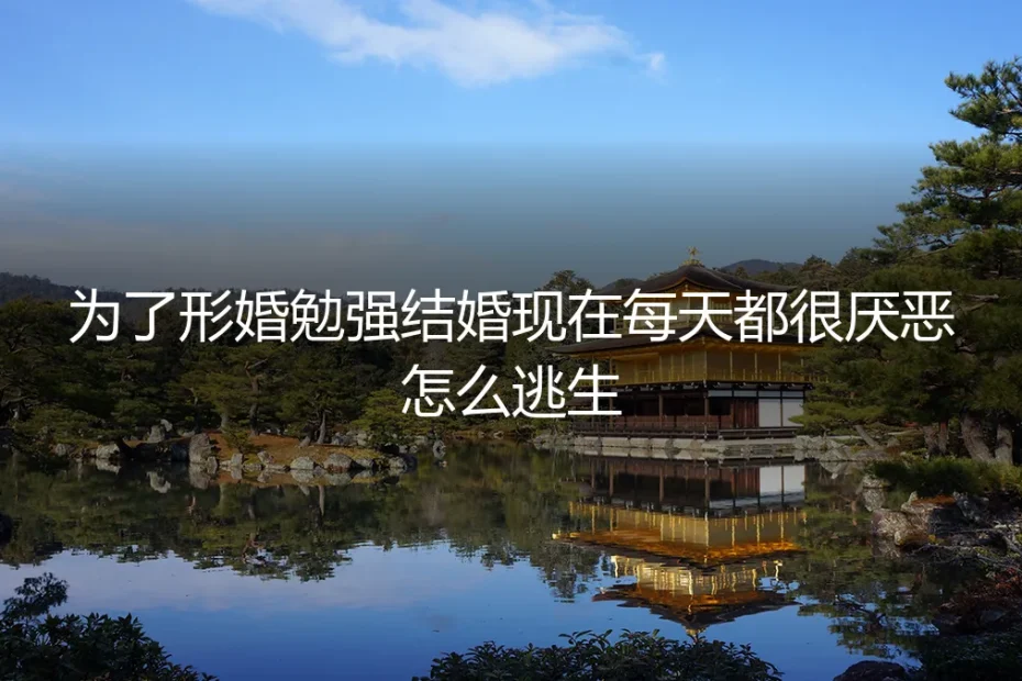 形婚困局:当“合作”变成厌恶,如何安全抽身与自我救赎