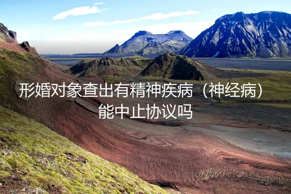 形婚对象查出精神疾病，婚前协议能否中止？深度解析风险与应对