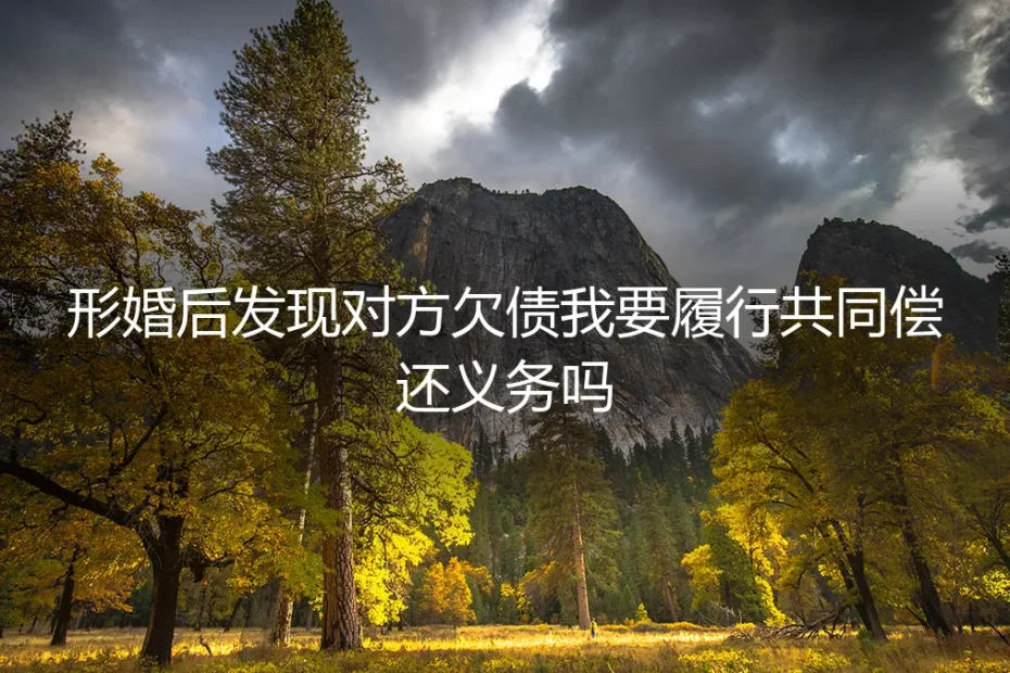 形婚后发现对方欠债，我需要履行共同偿还义务吗？