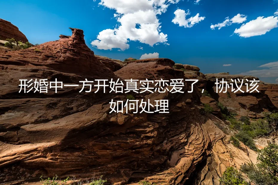 形婚进行时，一方陷入真实恋爱：协议该如何调整与应对？
