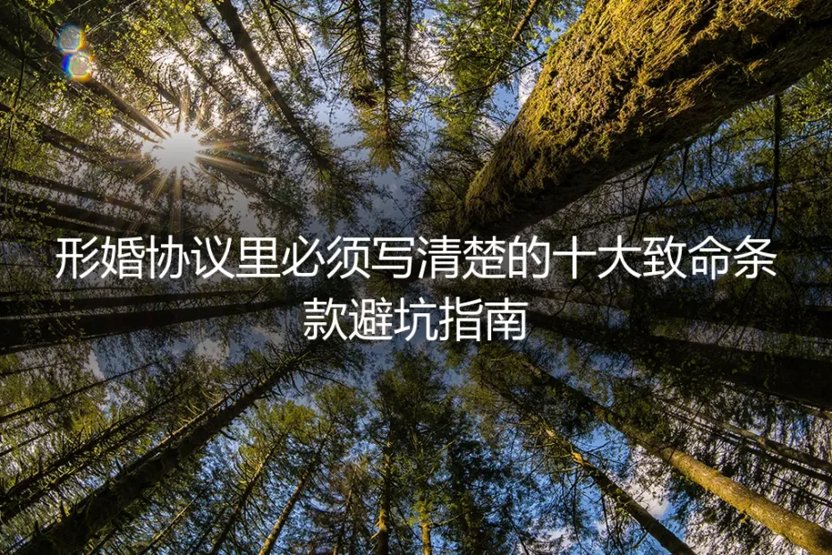 形婚协议里必须写清楚的十大致命条款避坑指南