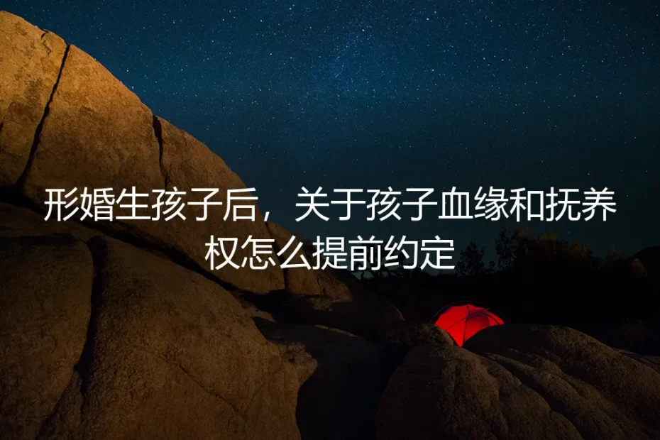 形婚生子避坑指南：关于孩子血缘与抚养权，必须提前约定的五件事
