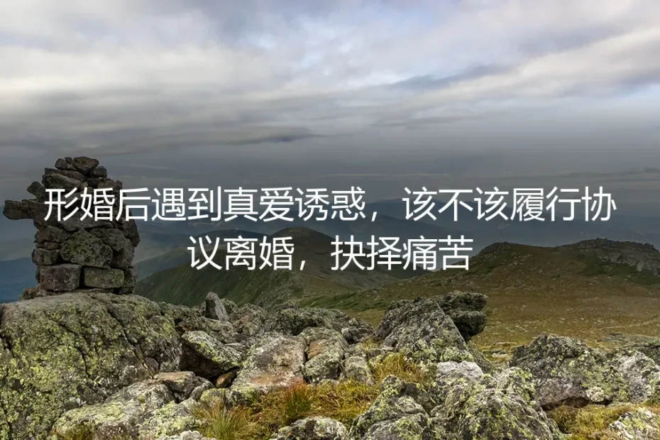 当协议遇上心动：形婚三年，我遇到了想共度余生的人