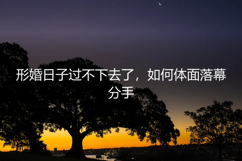 形婚日子过不下去了,如何体面落幕分手?保姆级实操避坑指南
