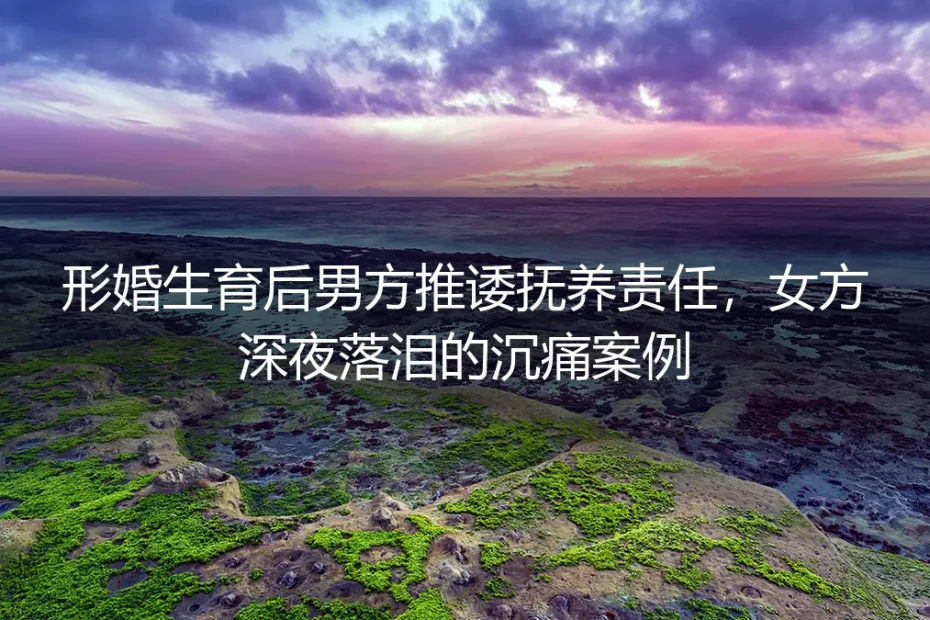 形婚生育后男方推诿抚养责任：从深夜落泪的真实案例拆解育儿风险与破局路径