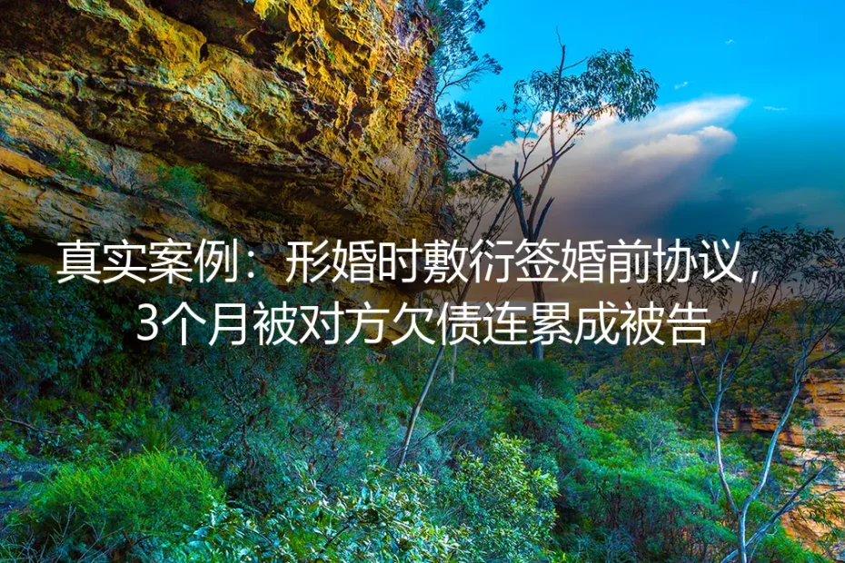 真实案例:形婚敷衍签婚前协议,3个月被对方欠债连累成被告