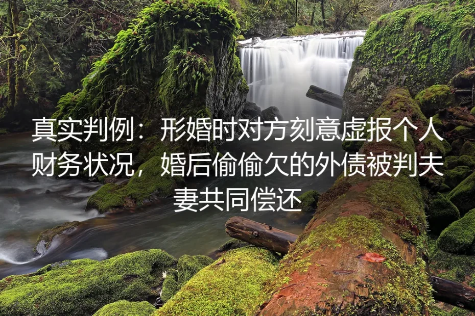 真实判例警示:形婚遇对方虚报财务,婚后隐秘外债为何被判共同偿还?