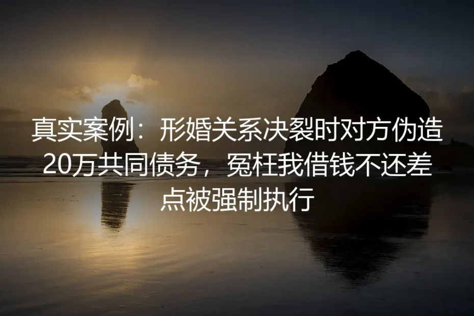真实案例:形婚决裂遭对方伪造20万共同债务,我如何躲过强制执行