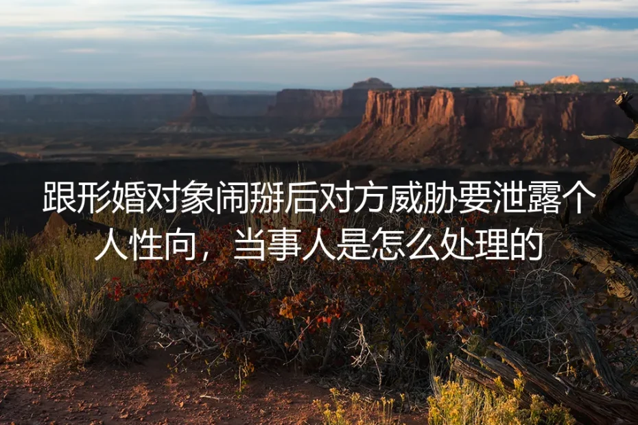 形婚闹掰遭性向泄露威胁?从被动挨打到破局的真实案例拆解