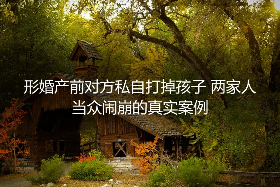 形婚产前对方私自打掉孩子:两家人当众闹崩的真实案例深度剖析