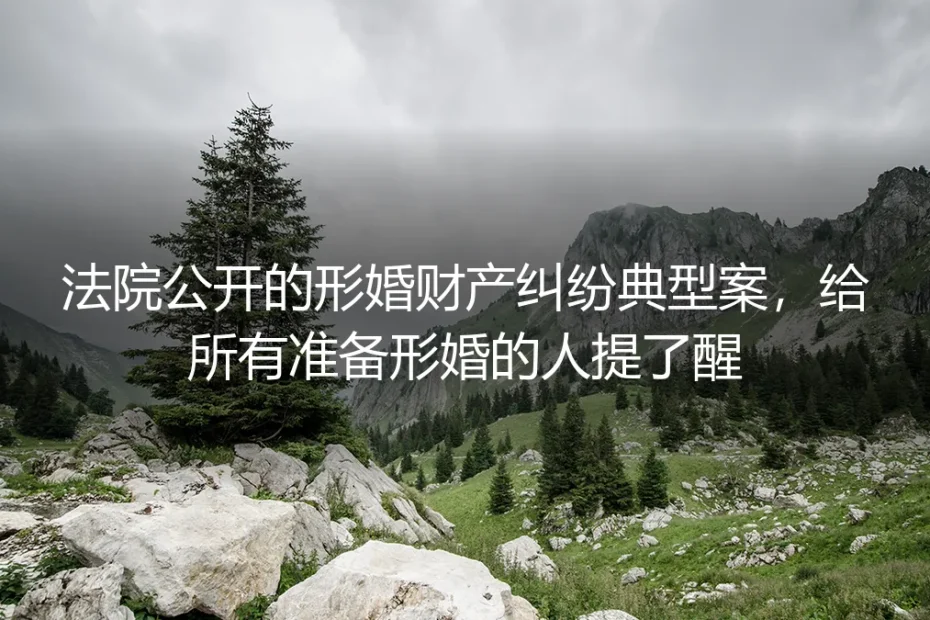 法院公开的形婚财产纠纷典型案,给所有准备形婚的人提了醒