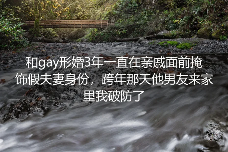 形婚第三年的跨年夜，门外来了他的男朋友