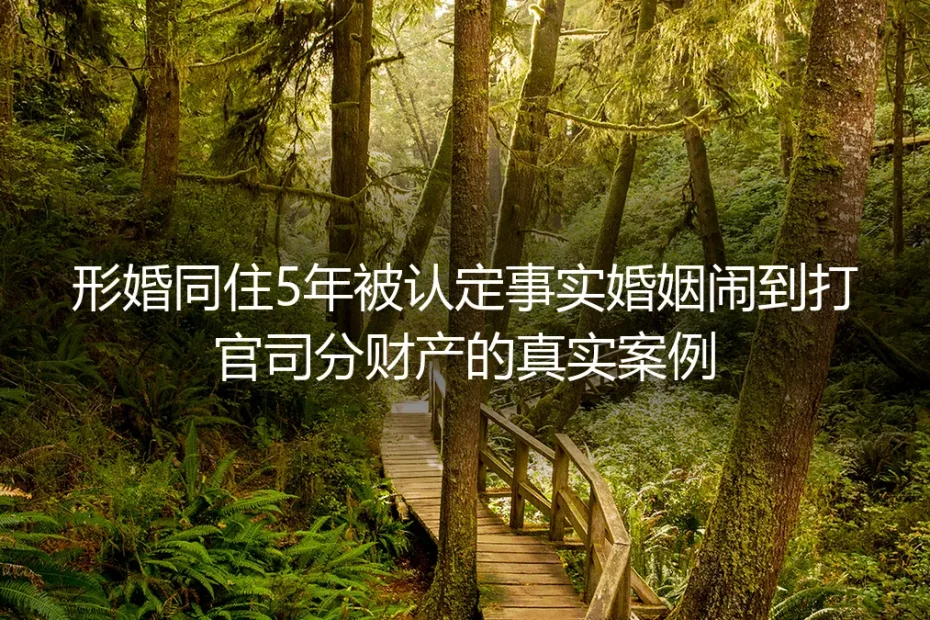 形婚同住5年被认定事实婚姻对簿公堂：真实案例拆解财产风险与避坑逻辑