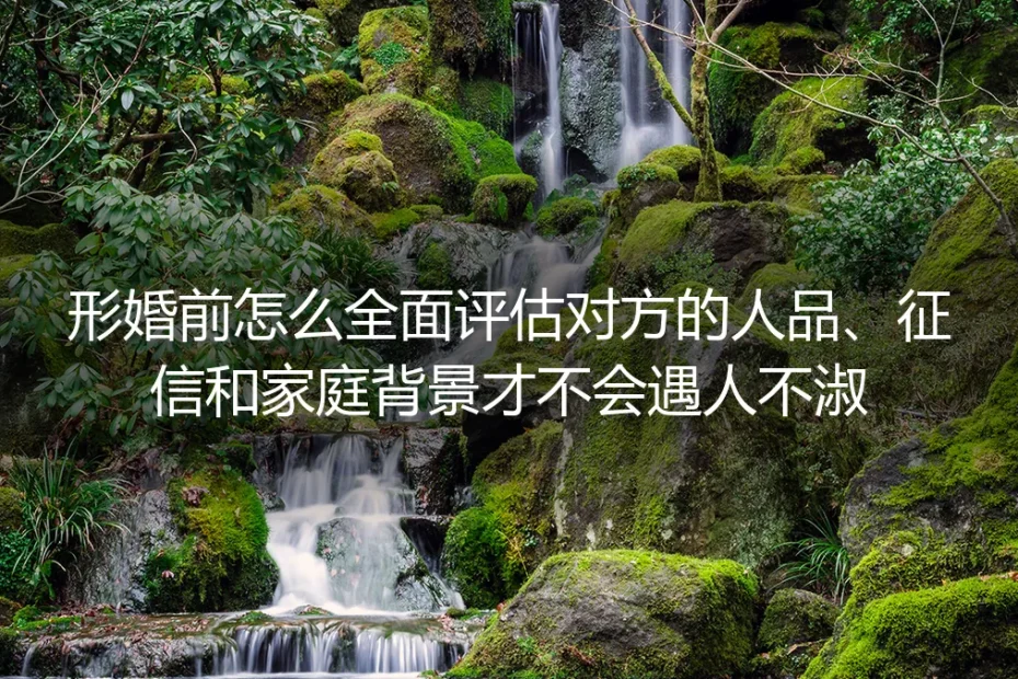 形婚前置评估保姆级实操指南:人品·征信·家庭背景全维度排查,彻底规避遇人不淑风险