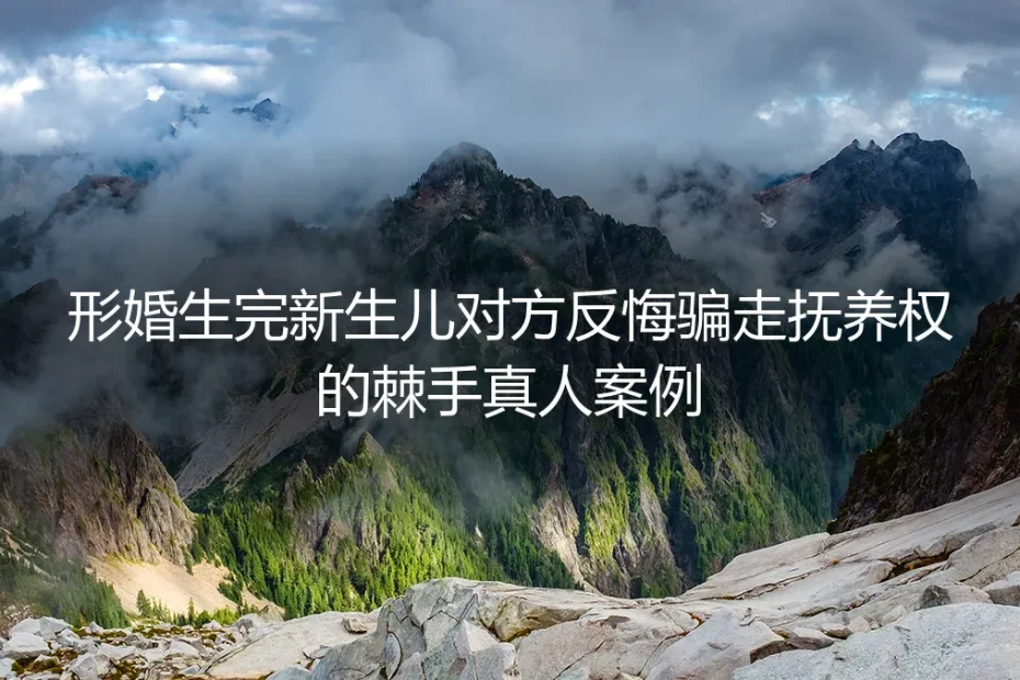形婚产子后对方反悔夺抚养权:32岁女设计师的真实维权经历与避坑指南