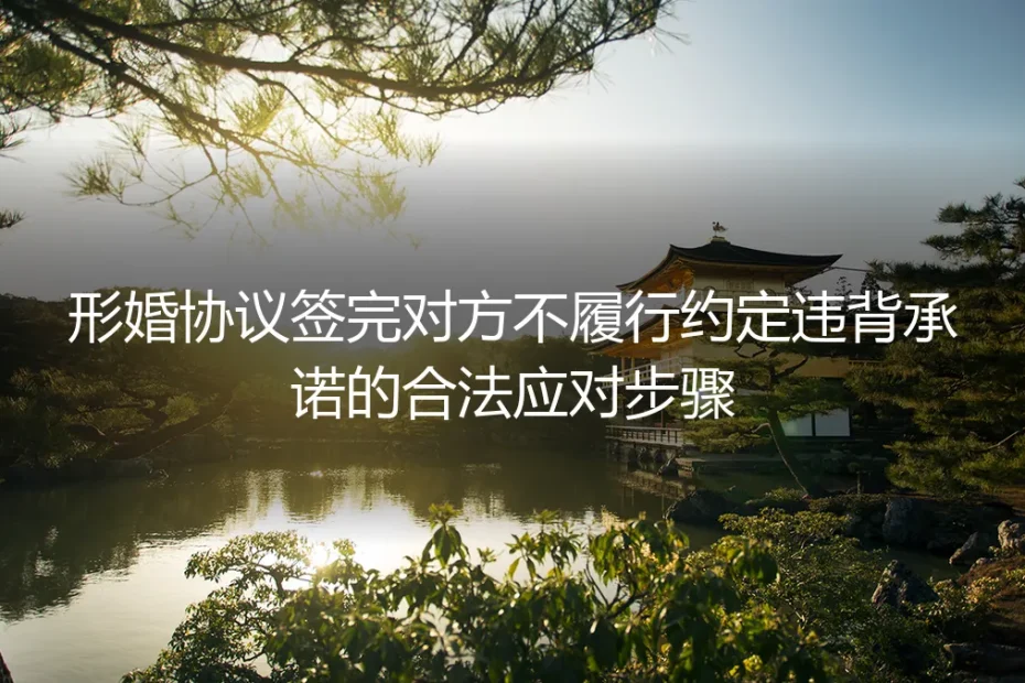 形婚协议签完对方不履约?保姆级合法应对与避坑实操指南