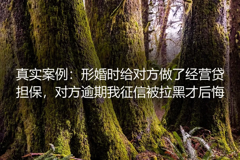 真实案例：形婚给对方做经营贷担保，对方逾期致征信拉黑才后悔
