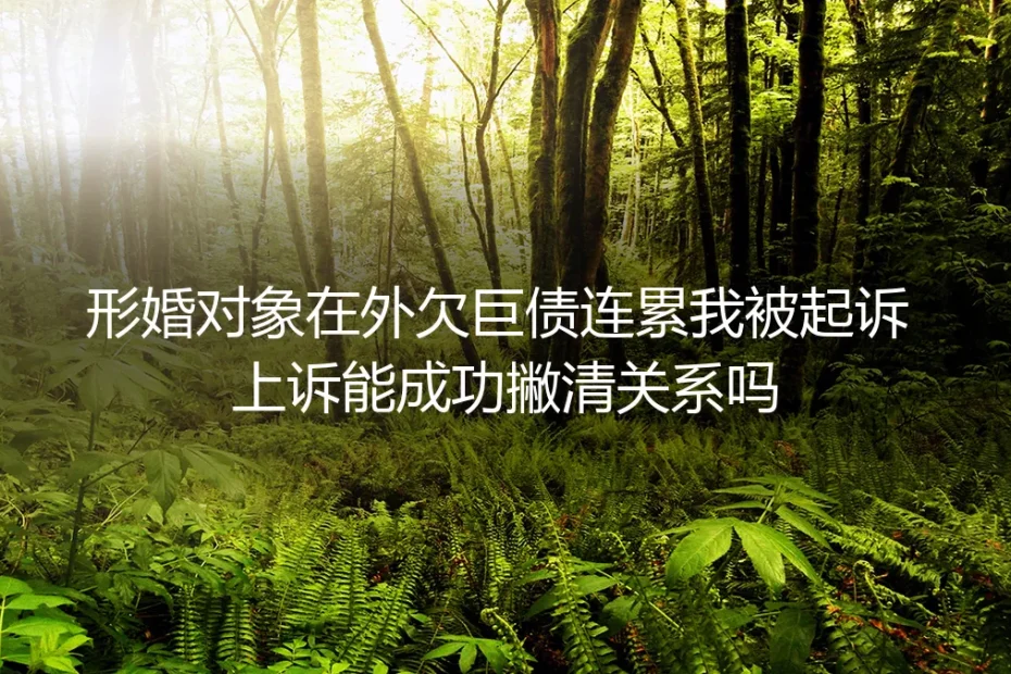 形婚对象在外欠巨债连累我被起诉,上诉能成功撇清关系吗?
