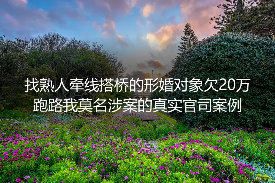 熟人牵线形婚对象欠20万跑路:我莫名涉案的300天官司自救记