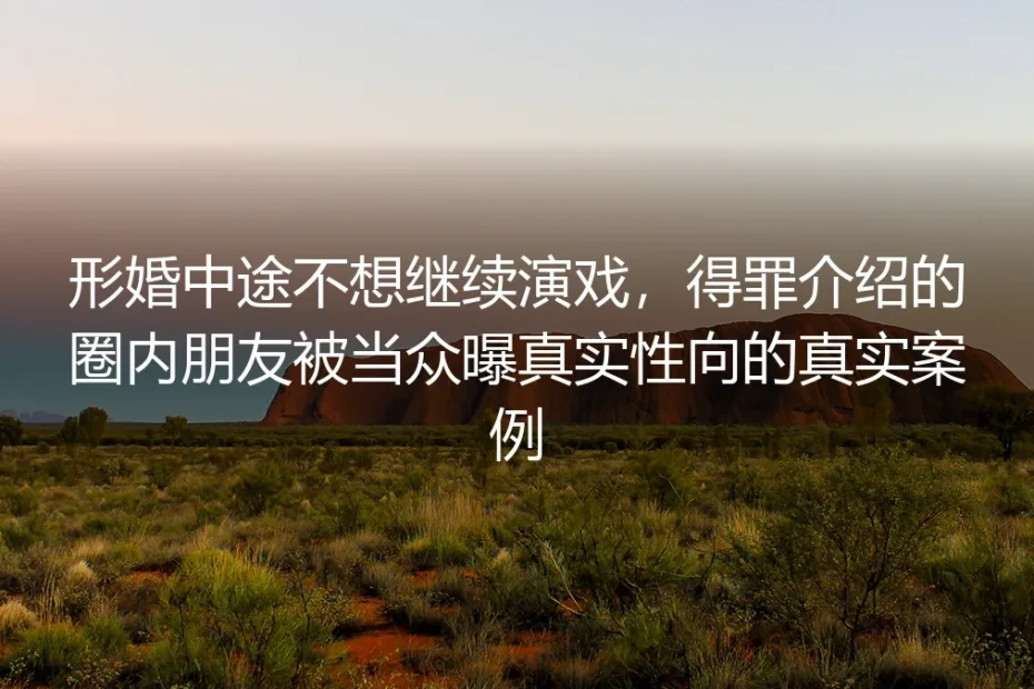 形婚中途喊停反被圈内介绍人当众出柜:一个真实案例的风险拆解与应对指南