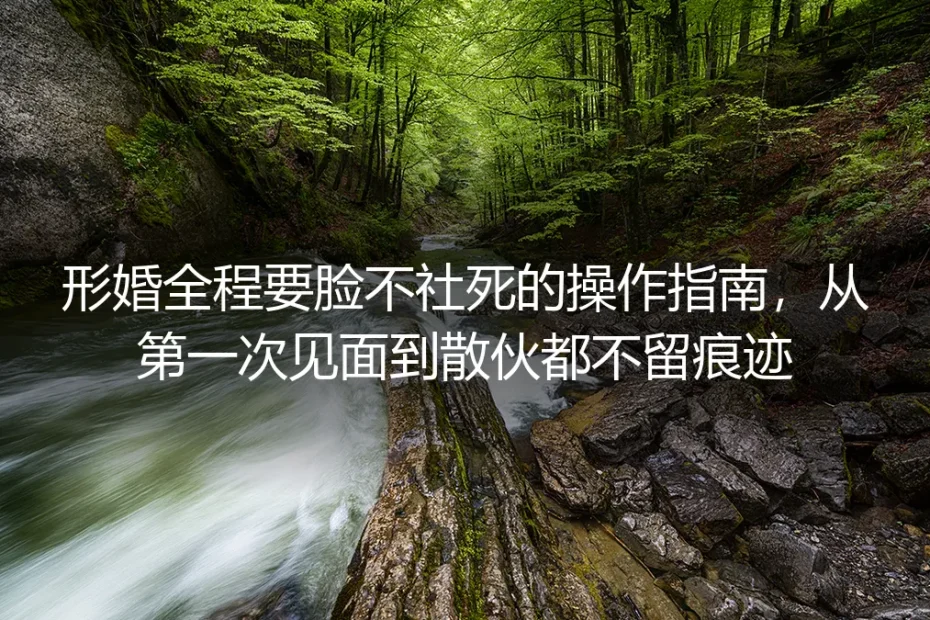 形婚全程要脸不社死实操指南:从初次见面到和平散伙零痕迹避坑手册