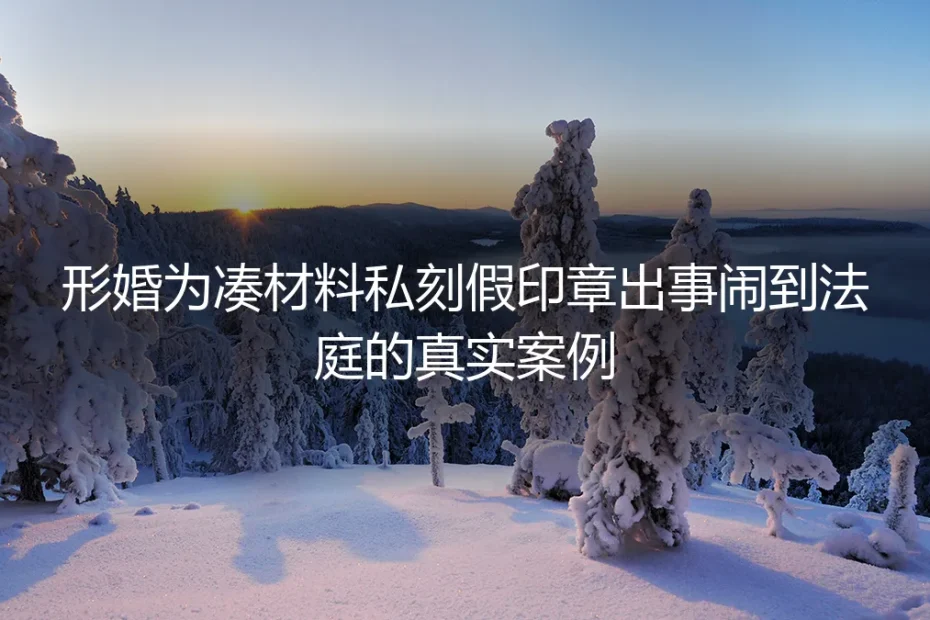 形婚凑购房资质私刻假章闹上法庭：藏在“各取所需”里的致命风险